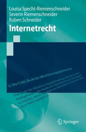 Specht-Riemenschneider / Riemenschneider / Schneider | Internetrecht | Buch | sack.de