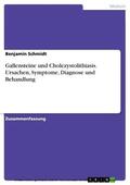 Schmidt |  Gallensteine und Cholezystolithiasis. Ursachen, Symptome, Diagnose und Behandlung | eBook | Sack Fachmedien