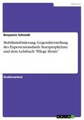 Schmidt |  Mobilitätsförderung. Gegenüberstellung des Expertenstandards Sturzprophylaxe und dem Lehrbuch "Pflege Heute" | Buch |  Sack Fachmedien