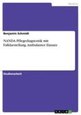 Schmidt |  NANDA Pflegediagnostik mit Falldarstellung. Ambulanter Einsatz | Buch |  Sack Fachmedien