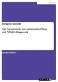 Schmidt |  Ein Praxisbericht zur ambulanten Pflege mit NANDA Diagnostik | eBook | Sack Fachmedien