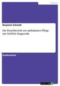 Schmidt |  Ein Praxisbericht zur ambulanten Pflege mit NANDA Diagnostik | Buch |  Sack Fachmedien