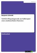 Schmidt |  NANDA Pflegediagnostik am Fallbeispiel eines multimorbiden Patienten | eBook | Sack Fachmedien