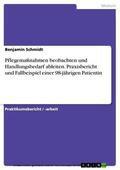 Schmidt |  Pflegemaßnahmen beobachten und Handlungsbedarf ableiten. Praxisbericht und Fallbeispiel einer 98-jährigen Patientin | eBook | Sack Fachmedien