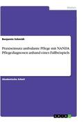 Schmidt |  Praxiseinsatz ambulante Pflege mit NANDA Pflegediagnosen anhand eines Fallbeispiels | Buch |  Sack Fachmedien