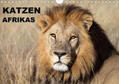 Herzog |  Katzen Afrikas (Wandkalender 2020 DIN A4 quer) | Sonstiges |  Sack Fachmedien
