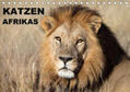 Herzog |  Katzen Afrikas (Tischkalender 2020 DIN A5 quer) | Sonstiges |  Sack Fachmedien