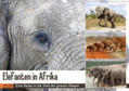 Herzog |  Elefanten in Afrika (Wandkalender 2020 DIN A3 quer) | Sonstiges |  Sack Fachmedien