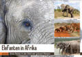 Herzog |  Elefanten in Afrika (Wandkalender 2020 DIN A2 quer) | Sonstiges |  Sack Fachmedien
