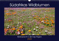 Herzog |  Südafrikas Wildblumen - Blütenpracht in der Kap-Region (Wandkalender 2020 DIN A3 quer) | Sonstiges |  Sack Fachmedien