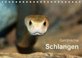 Herzog |  Gefährliche Schlangen (Tischkalender 2020 DIN A5 quer) | Sonstiges |  Sack Fachmedien
