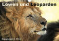Herzog |  Löwen und Leoparden - Begegnungen in Afrika (Wandkalender 2020 DIN A4 quer) | Sonstiges |  Sack Fachmedien