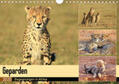 Herzog |  Geparden - Begegnungen in Afrika (Wandkalender 2020 DIN A4 quer) | Sonstiges |  Sack Fachmedien