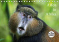 Herzog |  Affen in Afrika (Tischkalender 2020 DIN A5 quer) | Sonstiges |  Sack Fachmedien