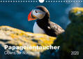 Wagner |  PAPAGEIENTAUCHER - Clowns der Nordmeere (Wandkalender 2020 DIN A4 quer) | Sonstiges |  Sack Fachmedien