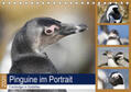 und Yvonne Herzog / Herzog |  Pinguine im Portrait - Frackträger in Südafrika (Tischkalender 2020 DIN A5 quer) | Sonstiges |  Sack Fachmedien