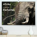 Herzog |  Afrika - im Reich der Elefanten(Premium, hochwertiger DIN A2 Wandkalender 2020, Kunstdruck in Hochglanz) | Sonstiges |  Sack Fachmedien