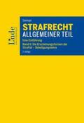 Steininger |  Strafrecht Allgemeiner Teil | Buch |  Sack Fachmedien