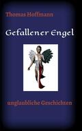 Hoffmann |  Gefallener Engel | Buch |  Sack Fachmedien