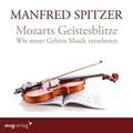 Spitzer |  Spitzer, M: Mozarts Geistesblitze | Sonstiges |  Sack Fachmedien