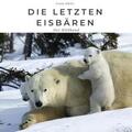 Müller |  Die letzten Eisbären | Buch |  Sack Fachmedien