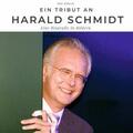 Hübsch / Müller |  Ein Tribut an Harald Schmidt | Buch |  Sack Fachmedien