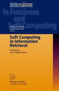 Pasi / Crestani |  Soft Computing in Information Retrieval | Buch |  Sack Fachmedien