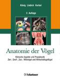 König / Korbel / Liebich |  Anatomie der Vögel | Buch |  Sack Fachmedien