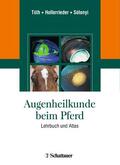 Tóth / Hollerrieder / Sótonyi |  Augenheilkunde beim Pferd | Buch |  Sack Fachmedien