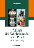 Grell / Maleh |  Atlas der Zahnheilkunde beim Pferd | Buch |  Sack Fachmedien