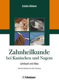Böhmer |  Zahnheilkunde bei Kaninchen und Nagern | Buch |  Sack Fachmedien