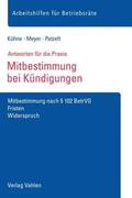 Patzelt / Kühne / Meyer |  Mitbestimmung bei Kündigungen | Buch |  Sack Fachmedien