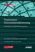 Castedello / Institut der Wirtschaftsprüfer in Deutschland e.V. / Schöninger |  Praxiswissen Unternehmensbewertung, 2. Aufl. | Buch |  Sack Fachmedien
