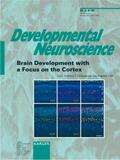 Campagnoni |  Brain Development with a Focus on the Cortex | Buch |  Sack Fachmedien