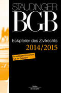 Martinek / Beckmann / Busche |  Kommentar zum Bürgerlichen Gesetzbuch mit Einführungsgesetz und Nebengesetzen. Ergänzungsband - Eckpfeiler des Zivilrechts 2014/2015 | Buch |  Sack Fachmedien