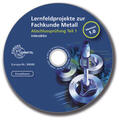 Burmester / Dillinger / Escherich |  Lernfeldprojekte zur Fachkunde Metall - interaktiv, 1 CD-ROM | Sonstiges |  Sack Fachmedien
