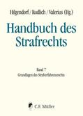 Barton / Brodowski / Bülte |  Handbuch des Strafrechts | eBook | Sack Fachmedien