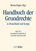 Merten / Dederer / Papier |  Handbuch der Grundrechte in Deutschland und Europa 6/2 | Buch |  Sack Fachmedien