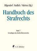 Hilgendorf / Barton / Kudlich |  Handbuch des Strafrechts 07 | Buch |  Sack Fachmedien