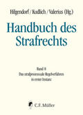 Hilgendorf / Kudlich / Valerius |  Handbuch des Strafrechts - Band 8 | Buch |  Sack Fachmedien