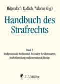 Hilgendorf / Kudlich / Valerius |  Handbuch des Strafrechts Band 09 | Buch |  Sack Fachmedien