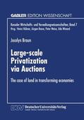  Large-scale Privatization via Auctions | Buch |  Sack Fachmedien