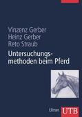 Gerber / Straub |  Untersuchungsmethoden beim Pferd | Buch |  Sack Fachmedien