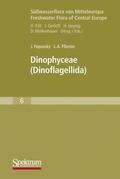 Pfiester / Popovský / Büdel |  Dinophyceae | Buch |  Sack Fachmedien