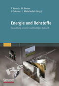Kausch / Matschullat / Bertau |  Energie und Rohstoffe | Buch |  Sack Fachmedien