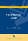 Wellmann / Queitsch / Fröhlich |  Wasserhaushaltsgesetz | Buch |  Sack Fachmedien