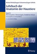 Böhme / Nickel / Schummer |  Lehrbuch der Anatomie der Haustiere Band 4 | Buch |  Sack Fachmedien