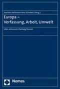 Heilmann / Schubert |  Europa - Verfassung, Arbeit, Umwelt | Buch |  Sack Fachmedien