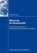 Grube |  Measuring the Immeasurable | Buch |  Sack Fachmedien