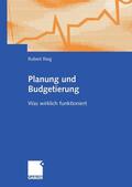 Rieg |  Planung und Budgetierung | eBook | Sack Fachmedien